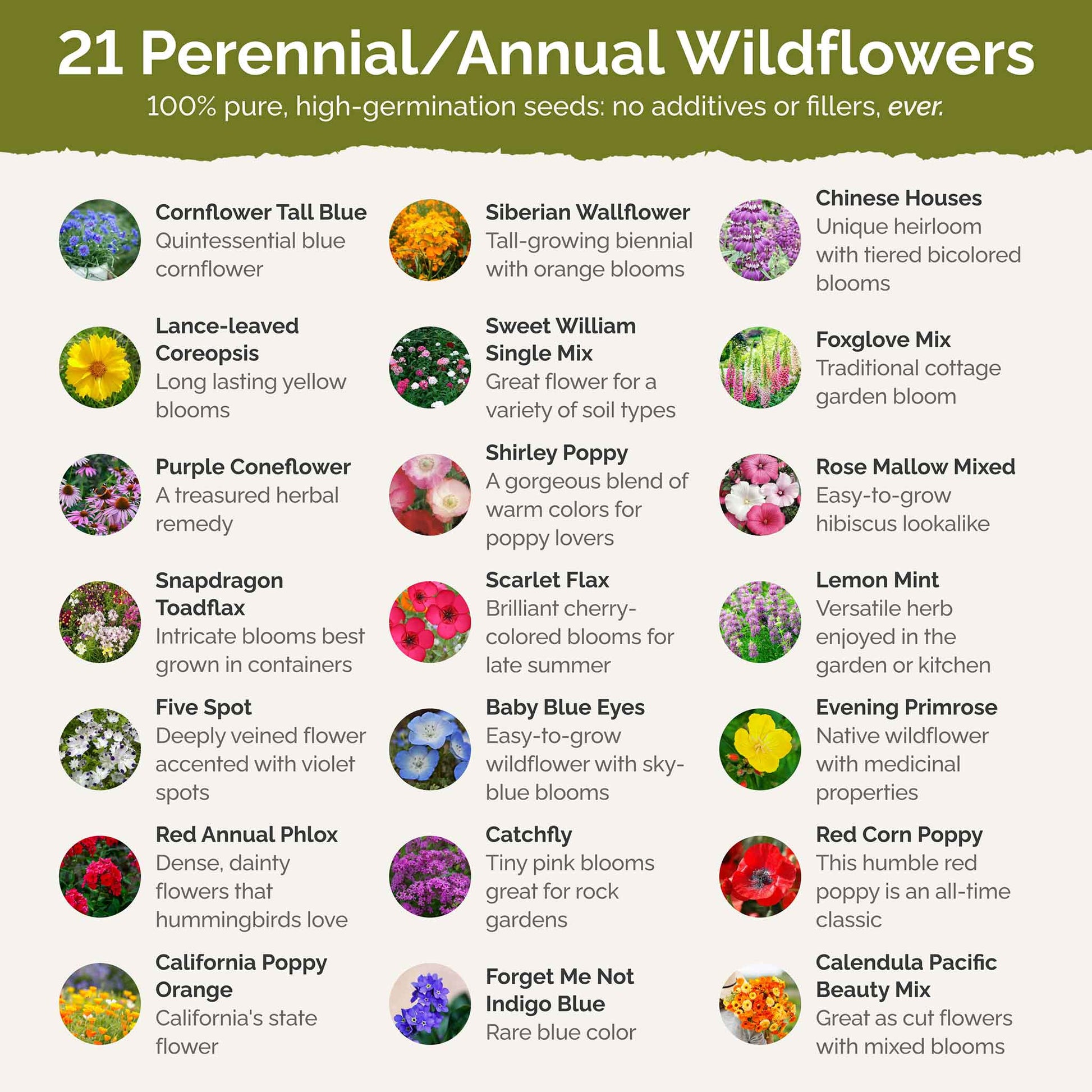 american seed shade area wildflower blend Bulk Partial Shade Wildflower Seed Mix