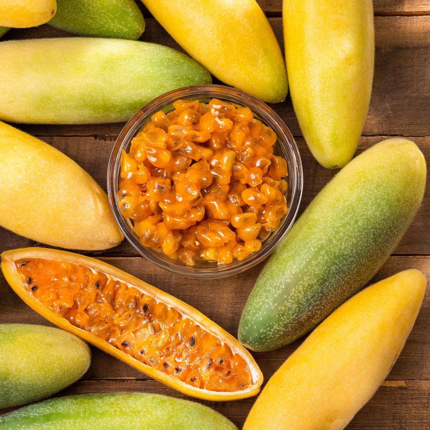 Bulk Passiflora Seeds Banana Passion Fruit Flower Seeds in Packets