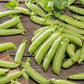 Close-up of vibrant green Sugar Ann pea pods with stems on a wooden surface. | copyright: Floramedia UK Ltd