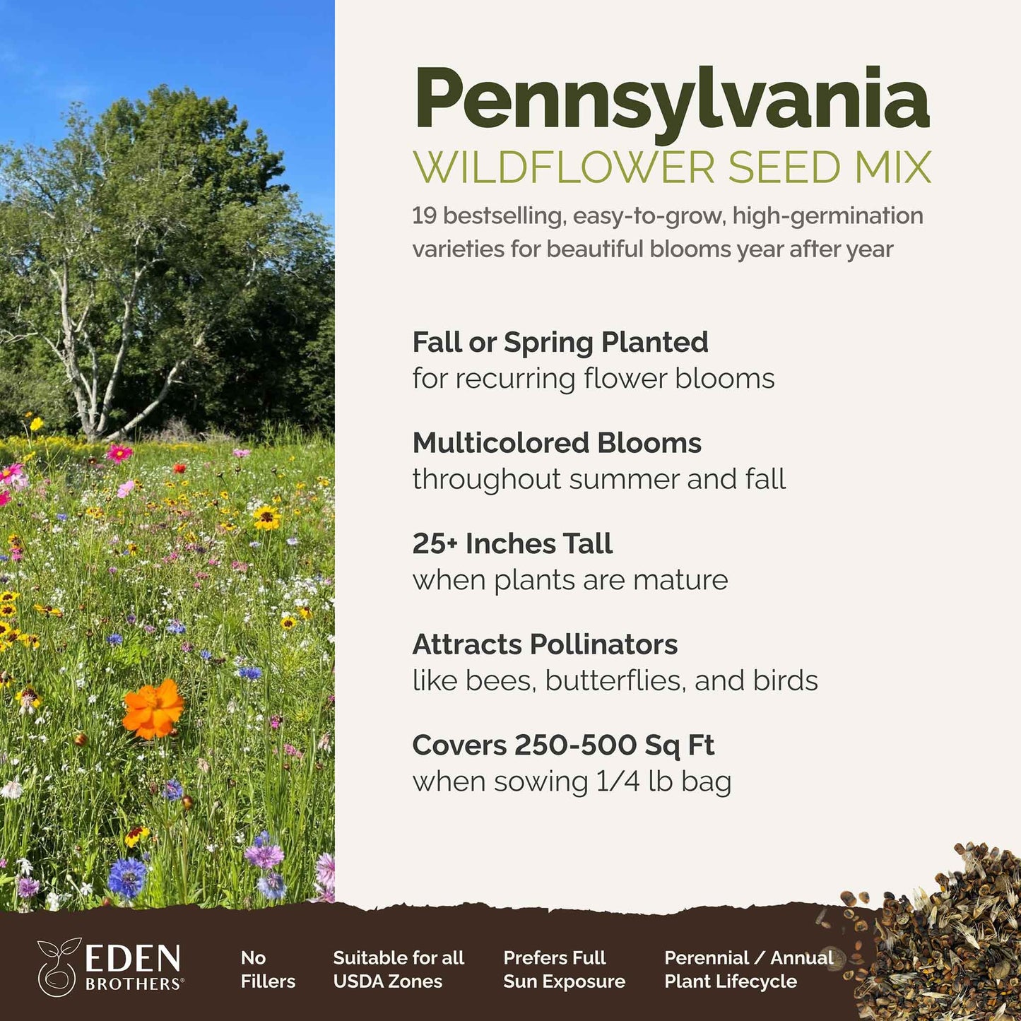 best time to plant wildflowers seeds Bulk Pennsylvania Wildflower Seed Mix