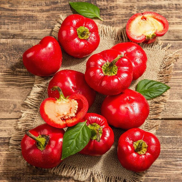 paprika plant seeds Bulk Sweet Pepper Seeds - Alma Paprika