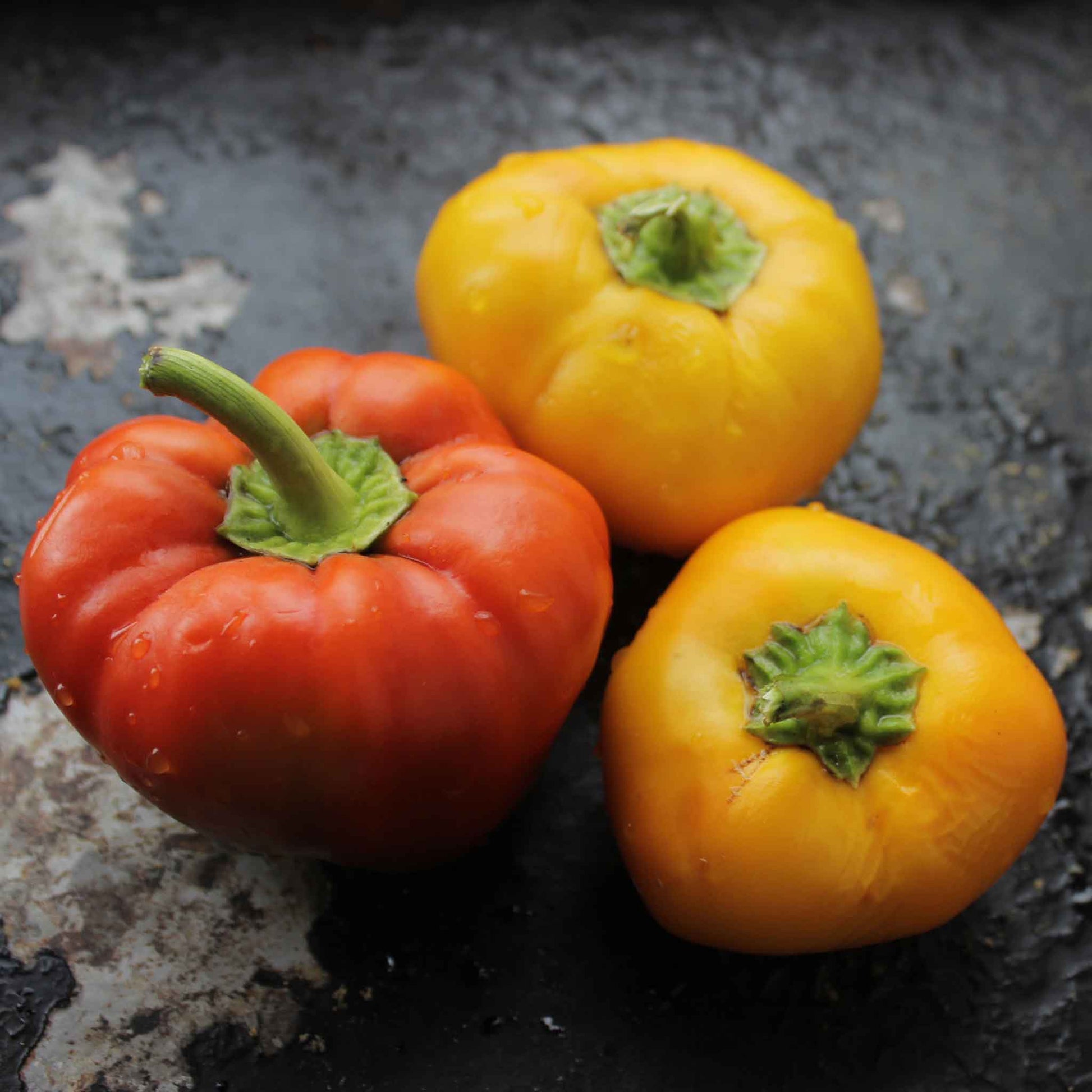 paprika plant seeds Bulk Sweet Pepper Seeds - Alma Paprika