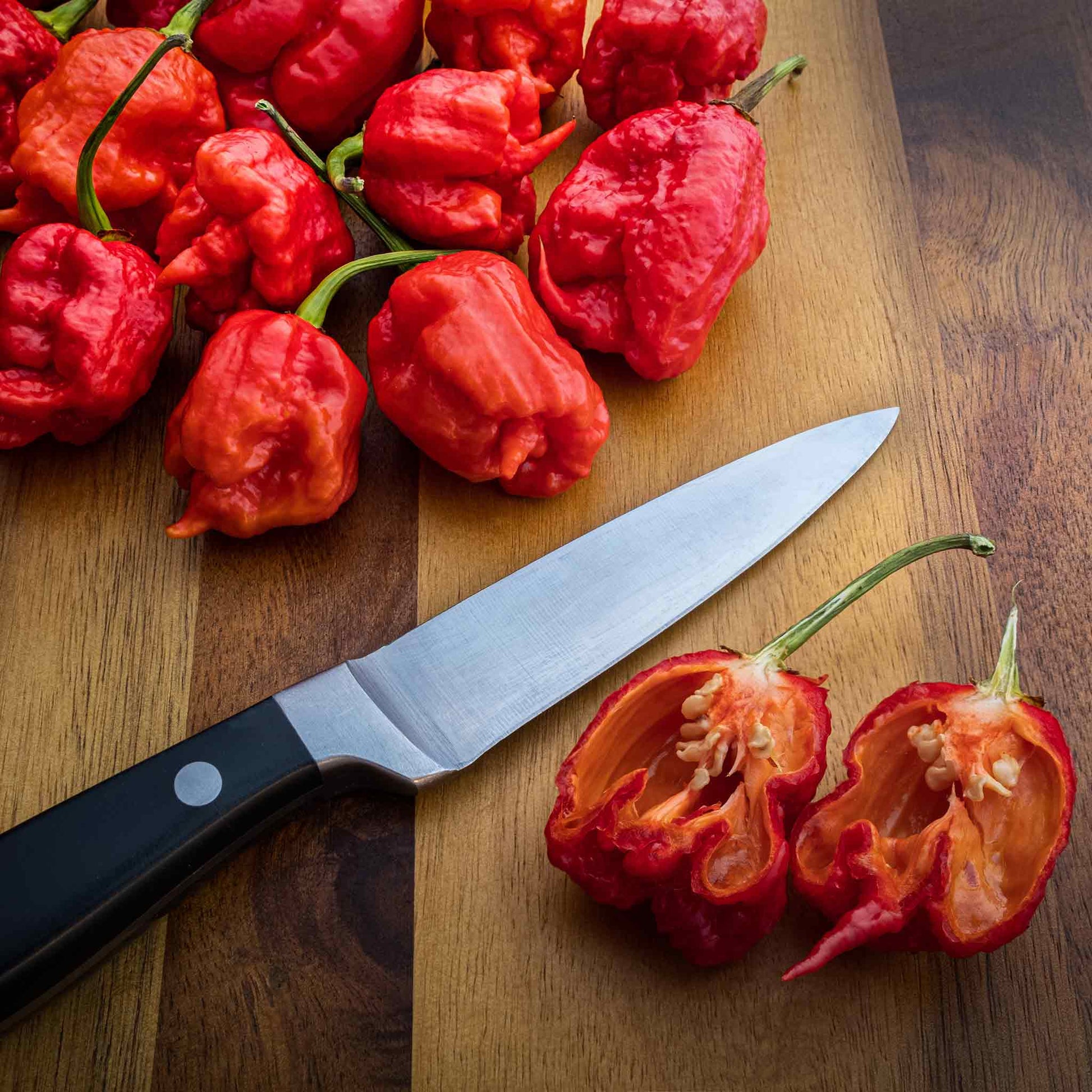 carolina reaper plant seeds Bulk Hot Pepper Seeds - Carolina Reaper