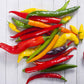 A vibrant mix of red, orange, and yellow Cayenne Blend peppers in a pile, showcasing a colorful blend. 