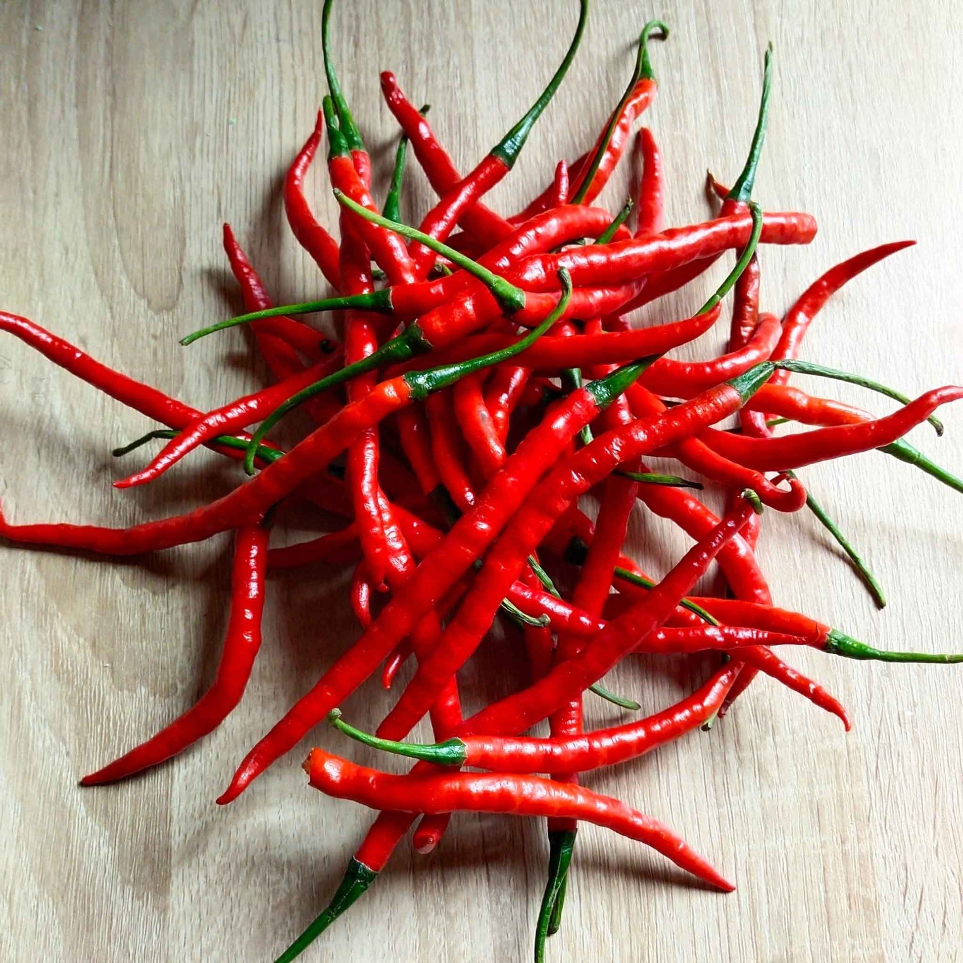 dry red chilli seeds for planting Bulk Hot Pepper Seeds - Cayenne Long Red Thin