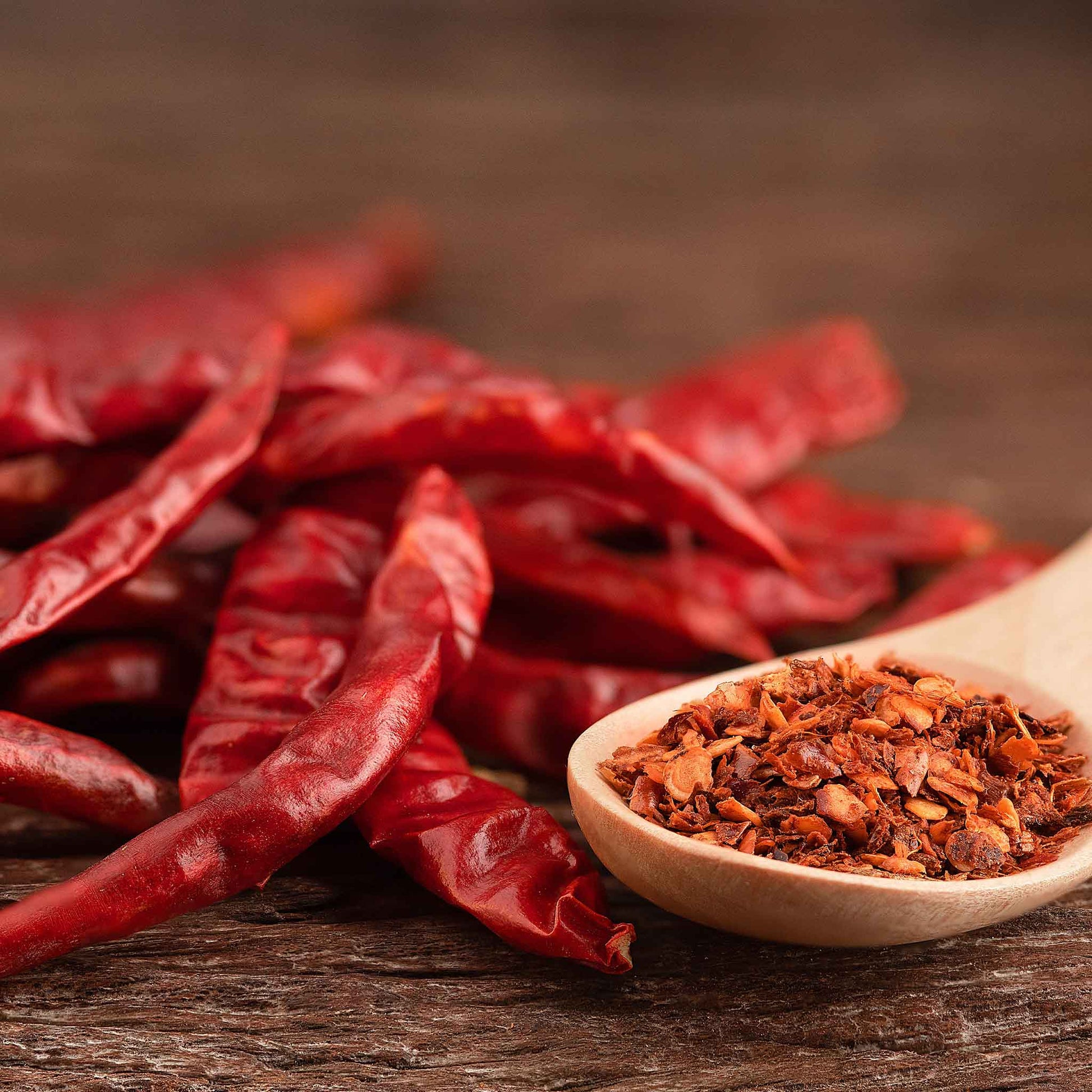 chili plant seeds Bulk Hot Pepper Seeds - Cayenne Long Red Thin