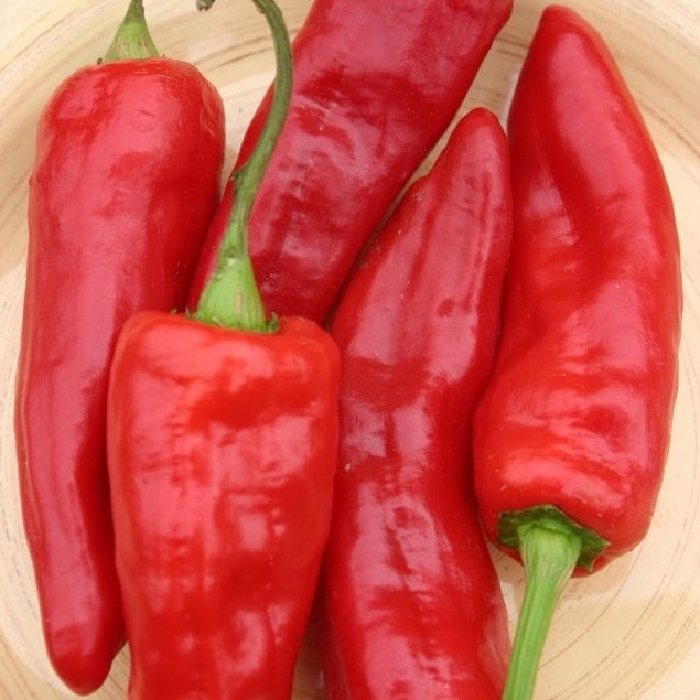 organic marconi red pepper 