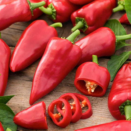 Red Piquillo peppers elongated bodies and one sliced up showing seeds. | copyright: Floramedia UK Ltd