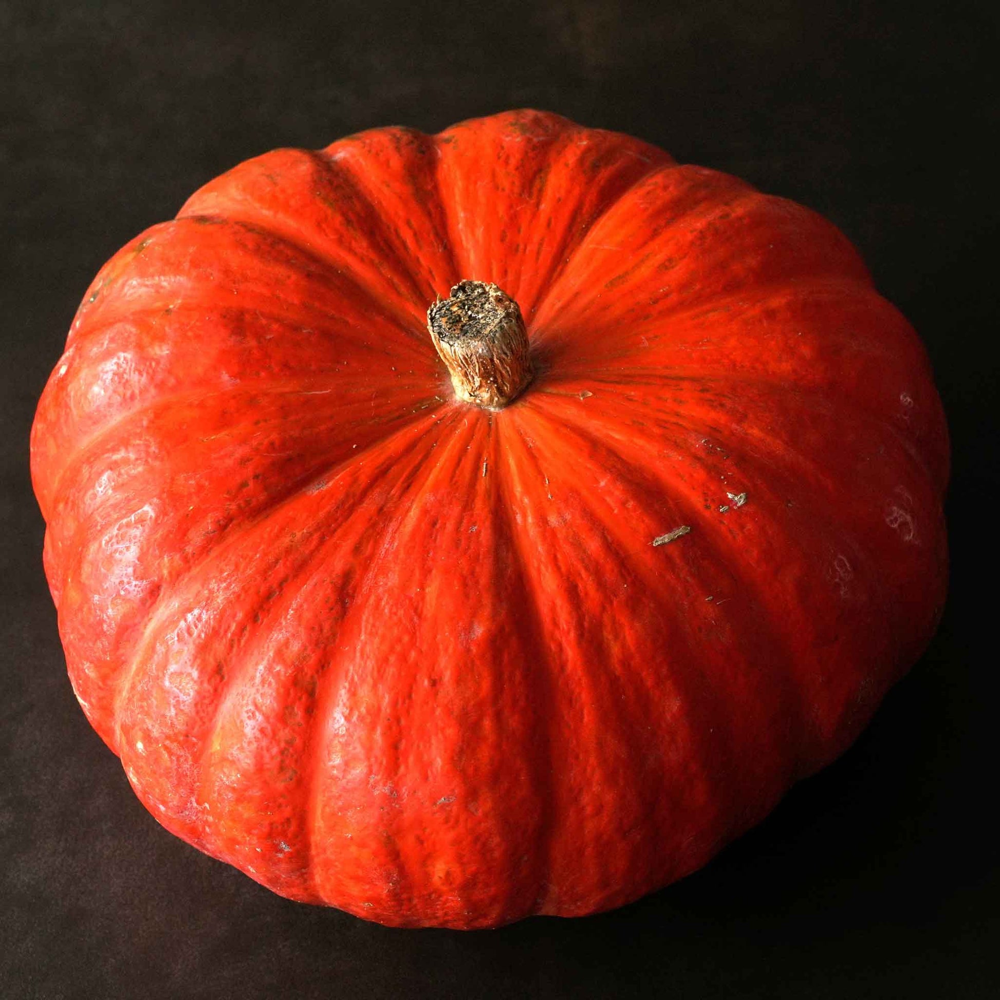 bulk pumpkin seeds for planting uk Bulk Pumpkin Seeds - Rouge Vif d'Etampes