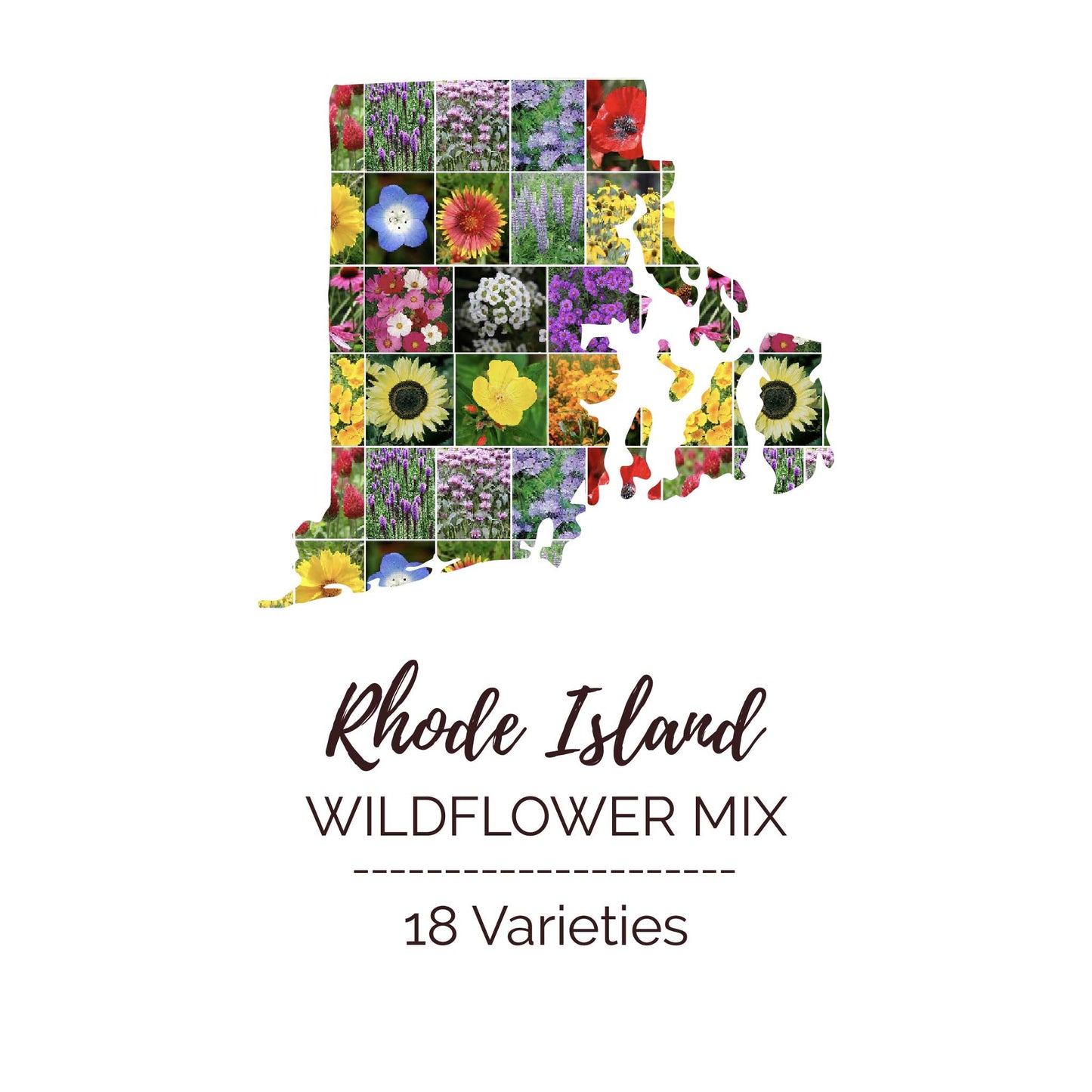 rhode island mix
