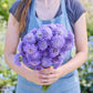A person holding a bouquet of scabiosa blue cockade flowers in a garden setting.