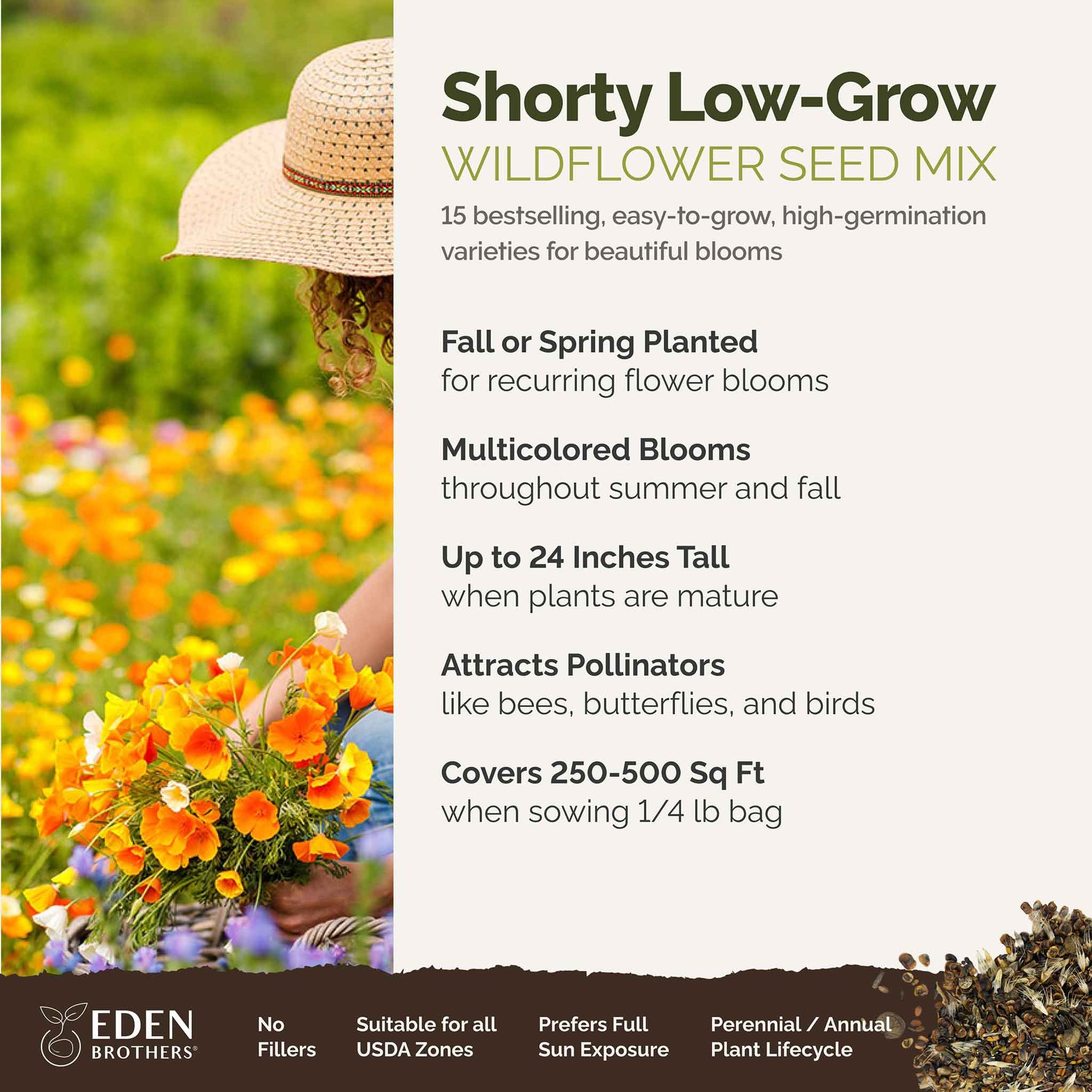 wildflower seeds fall planting Bulk Shorty Low-Grow Wildflower Seed Mix