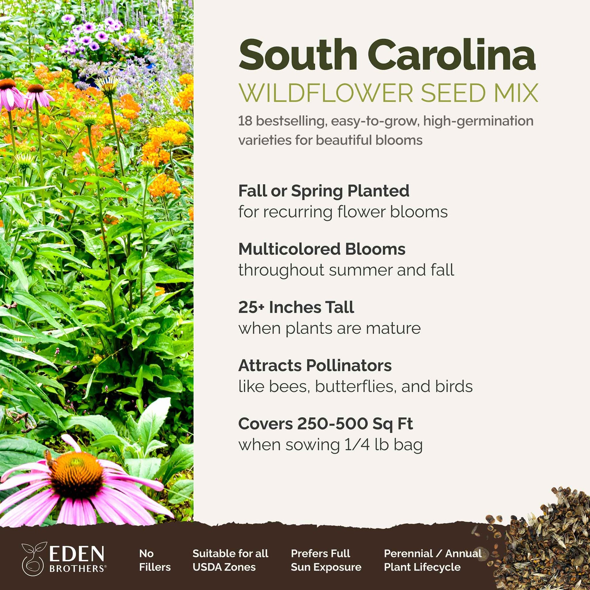 bulk perennial wildflower seed mix South Carolina Wildflower Seed Mix