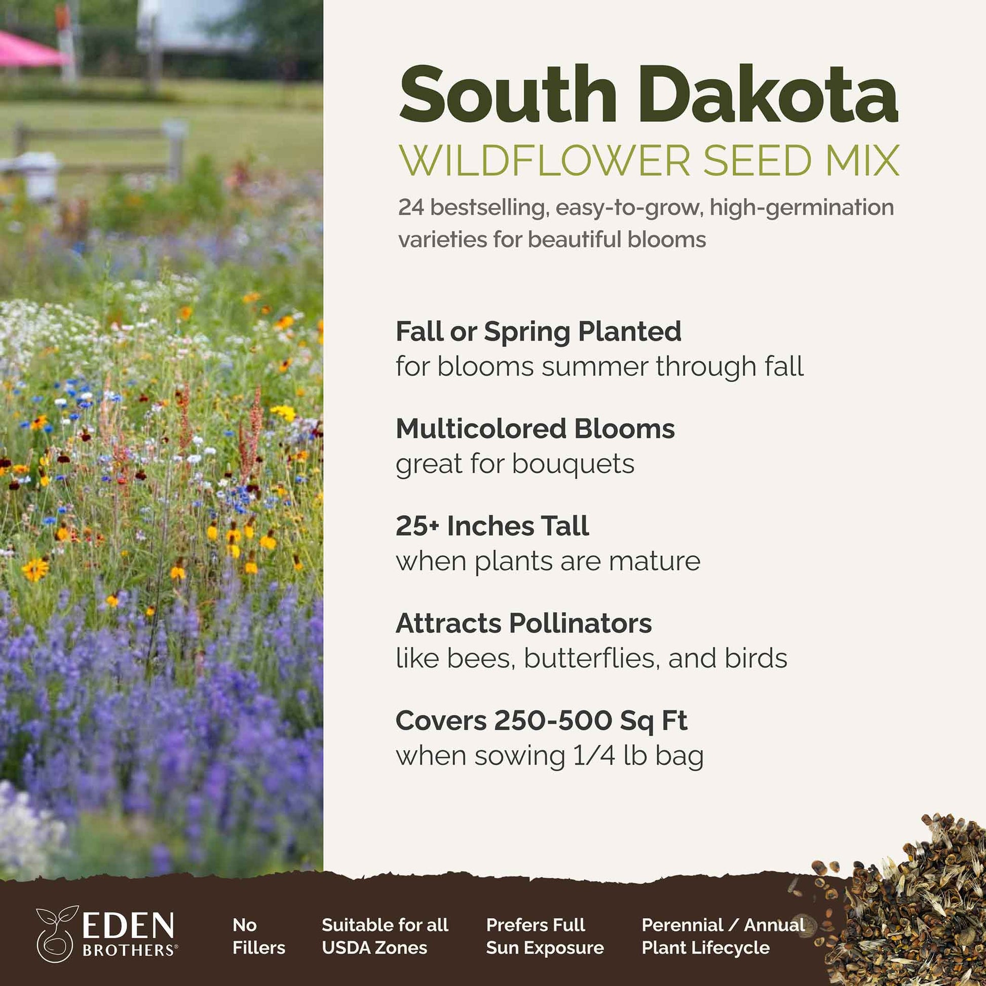south dakota wildflower seeds South Dakota Wildflower Seed Mix