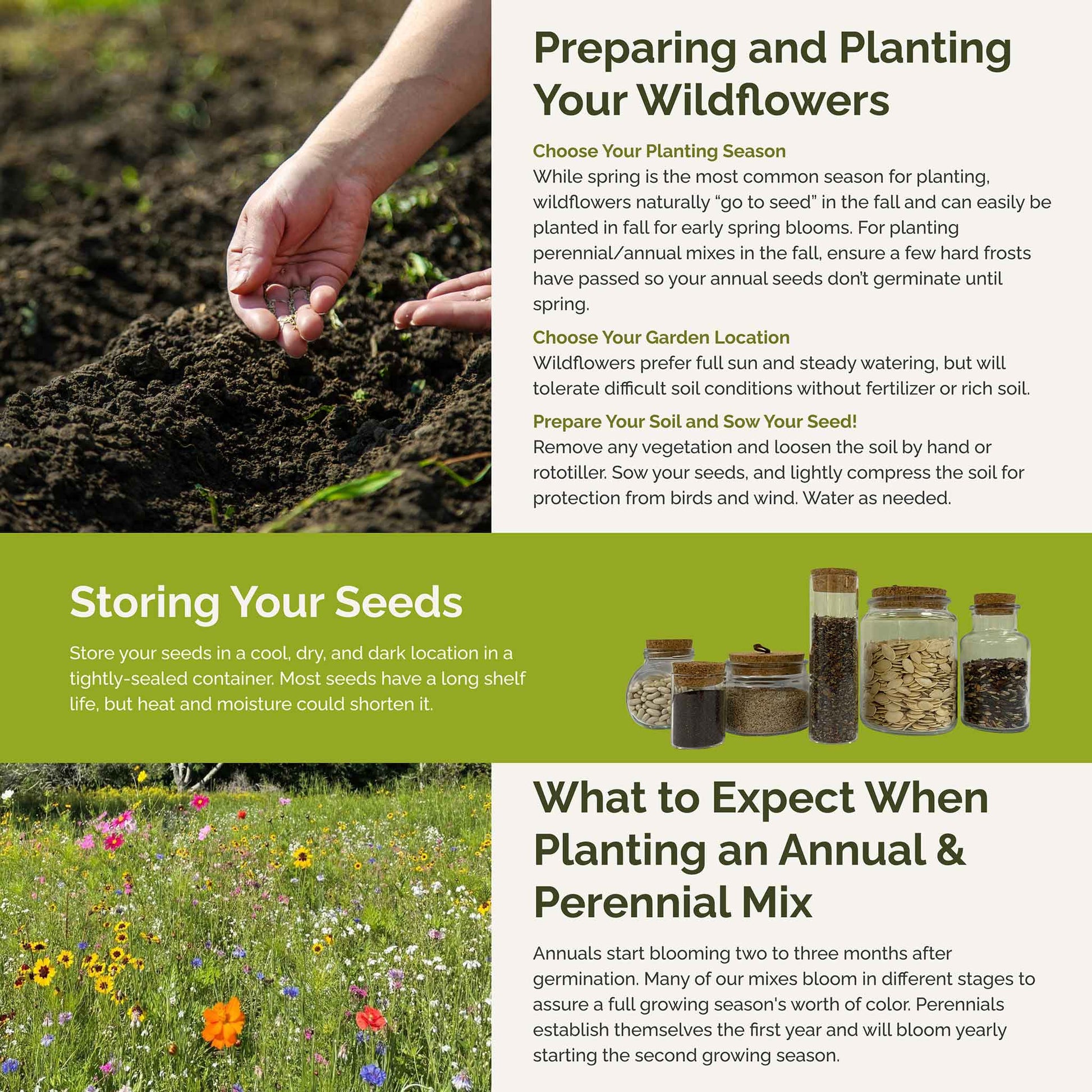south dakota wildflower seeds South Dakota Wildflower Seed Mix