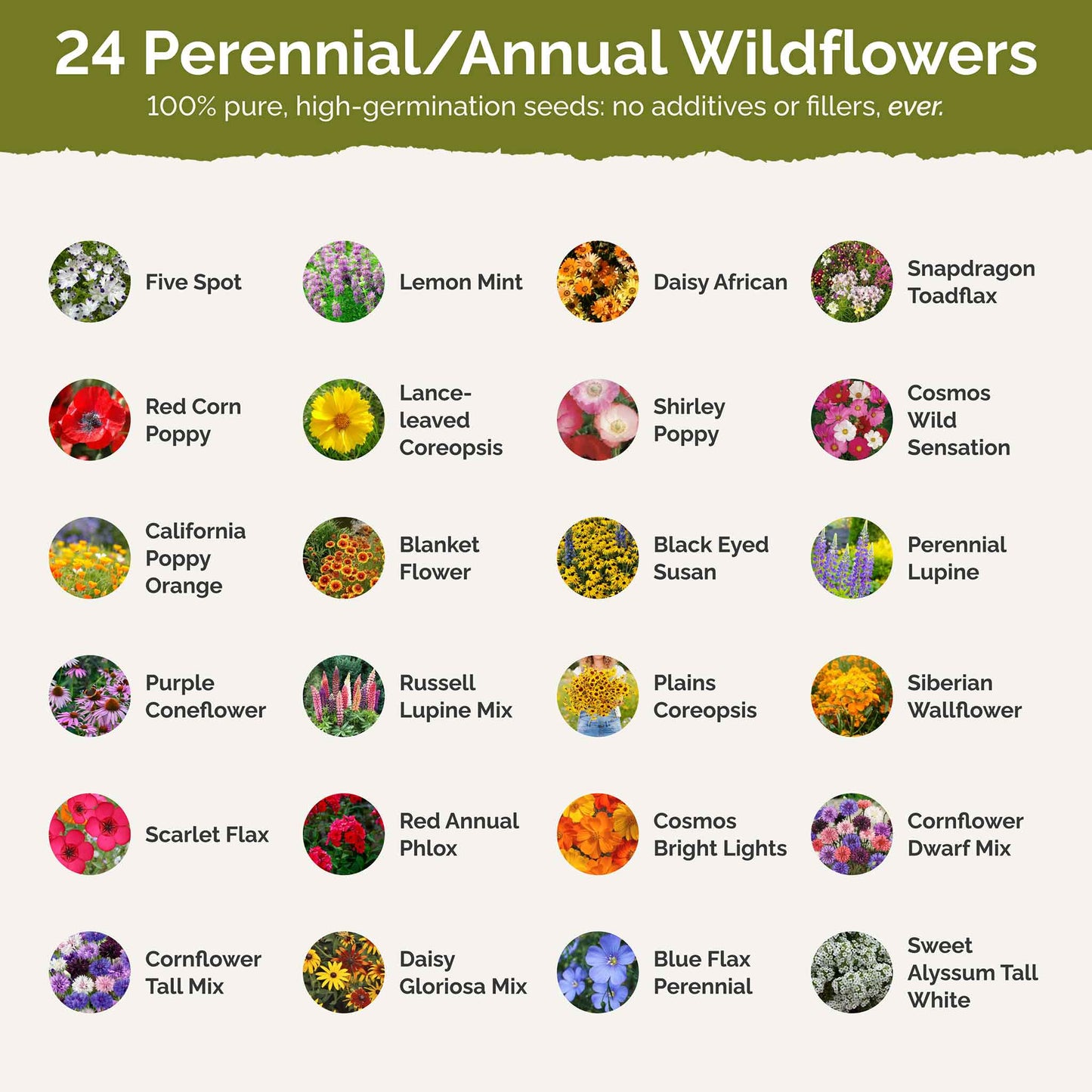 mixed flower seeds in bulk Bulk Southeast Wildflower Seed Mix