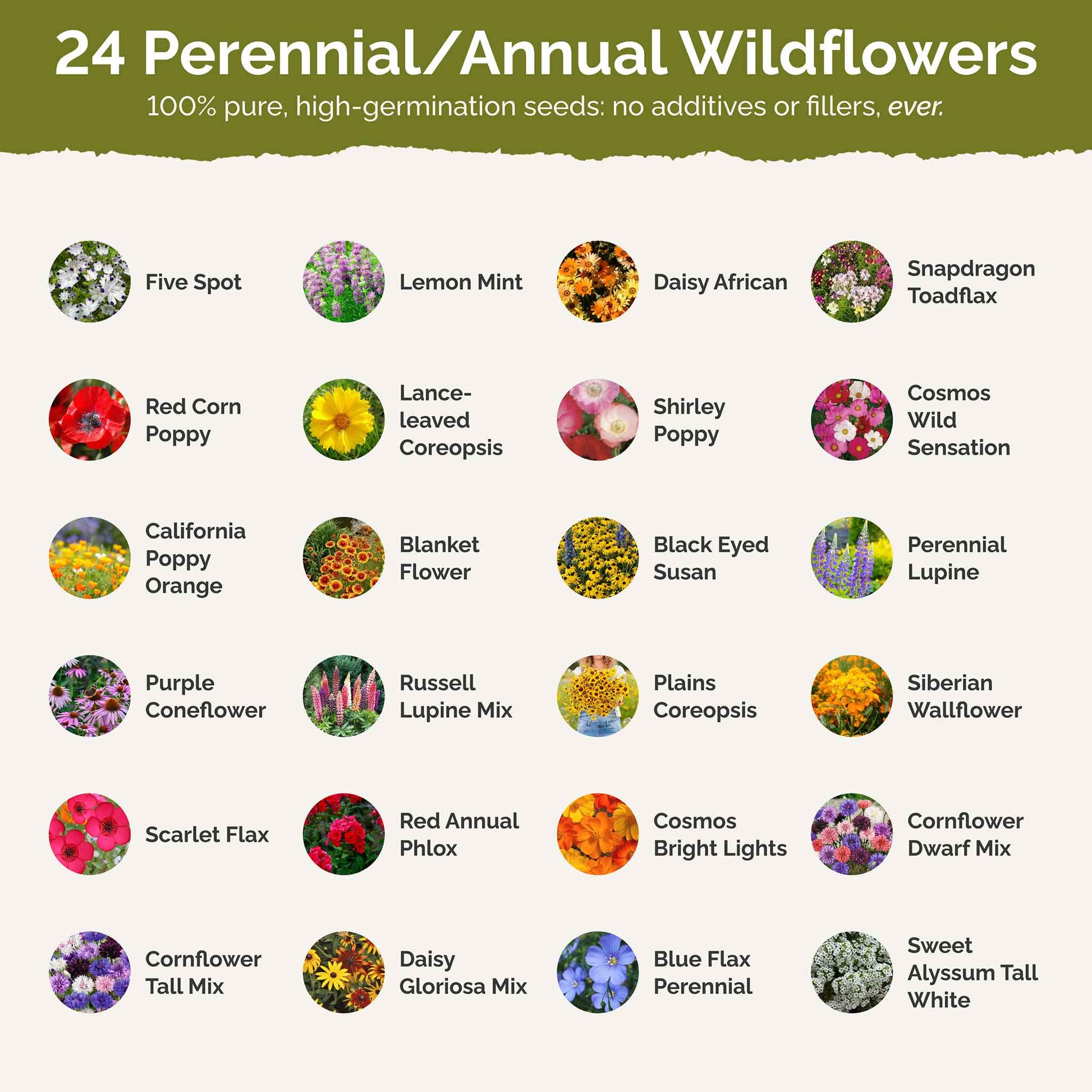 bulk wildflower seed mix Bulk Southeast Wildflower Seed Mix