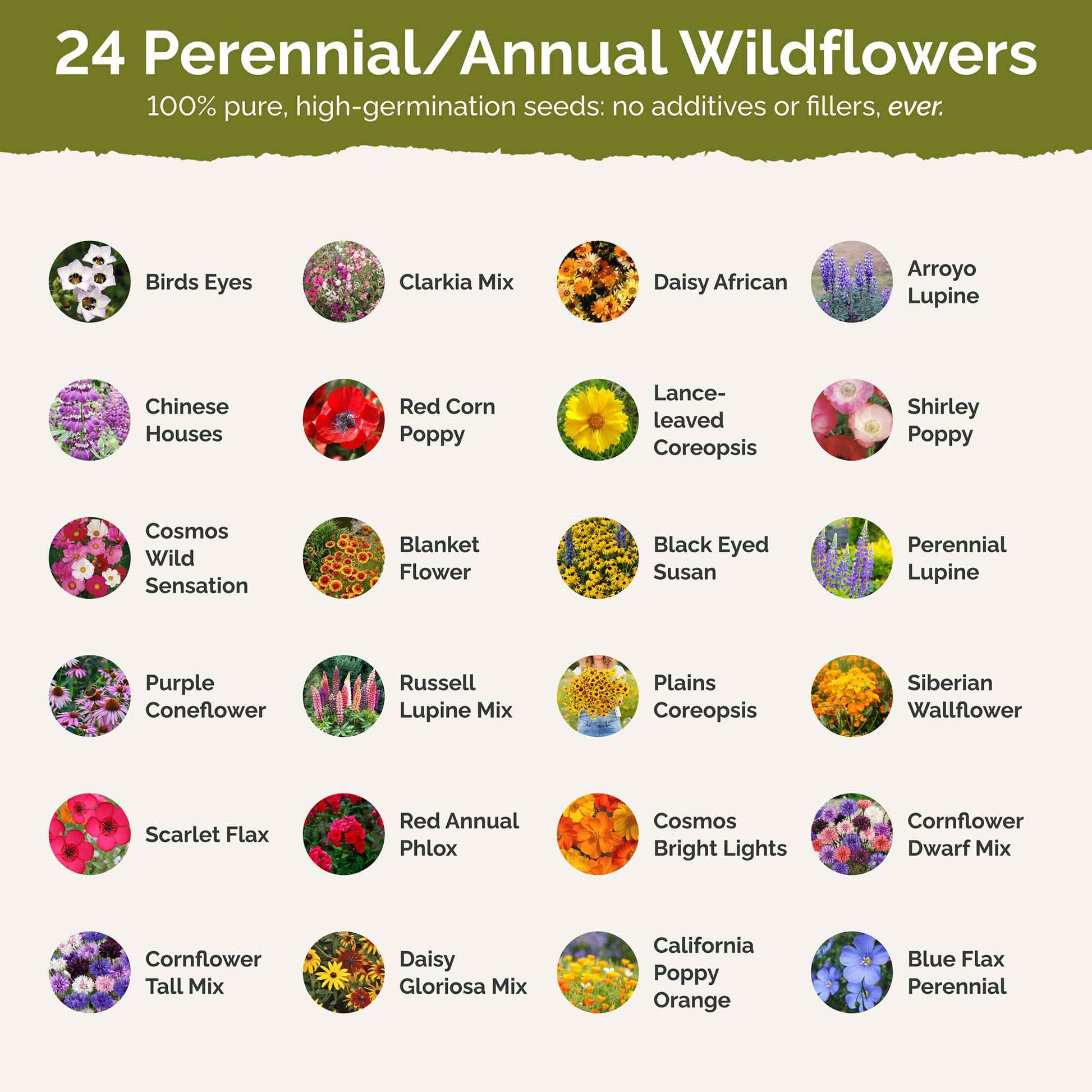 southeast wildflower seed Bulk Southwest Wildflower Seed Mix