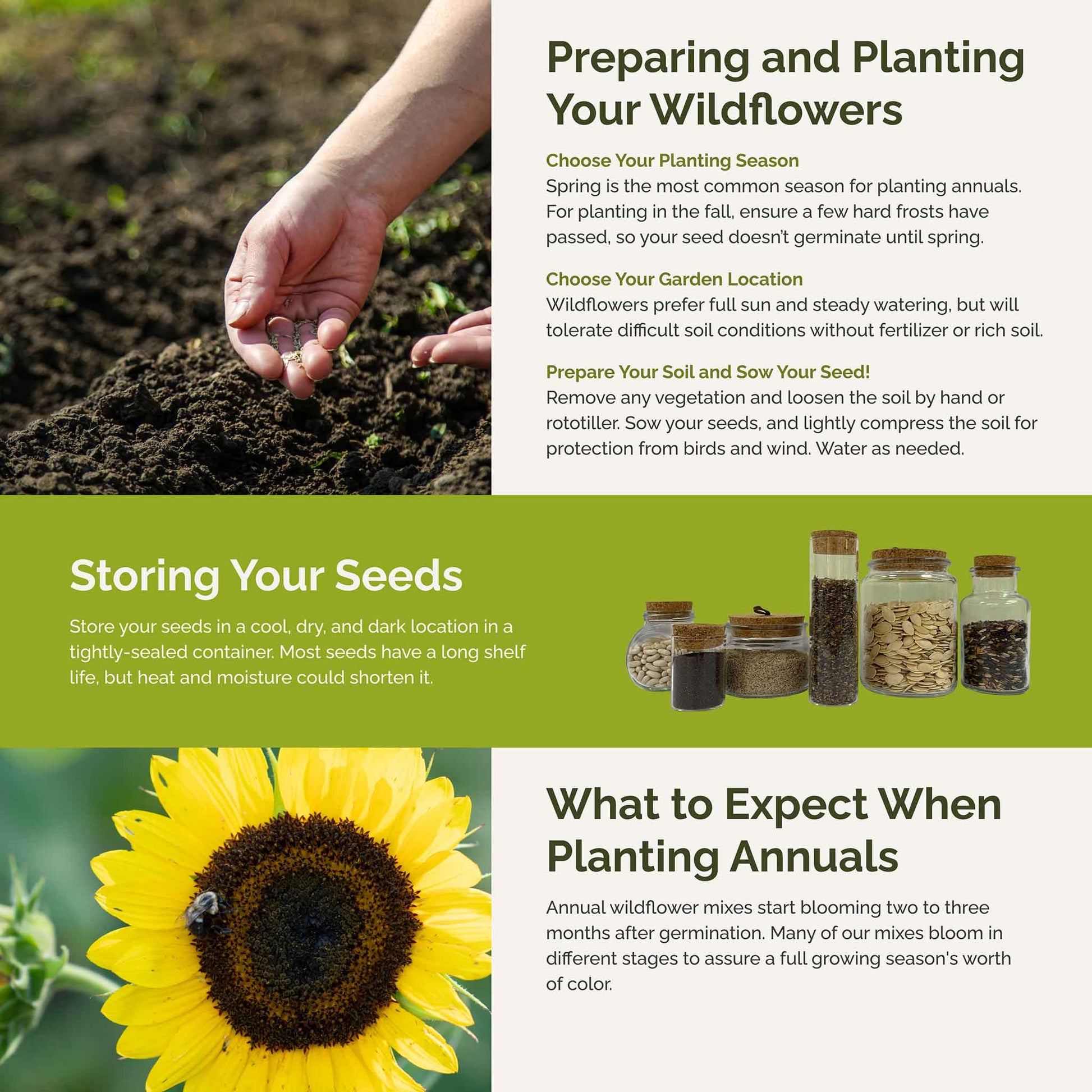 storing sunflower seeds for planting Bulk Sunny - Sunflower Seed Mix