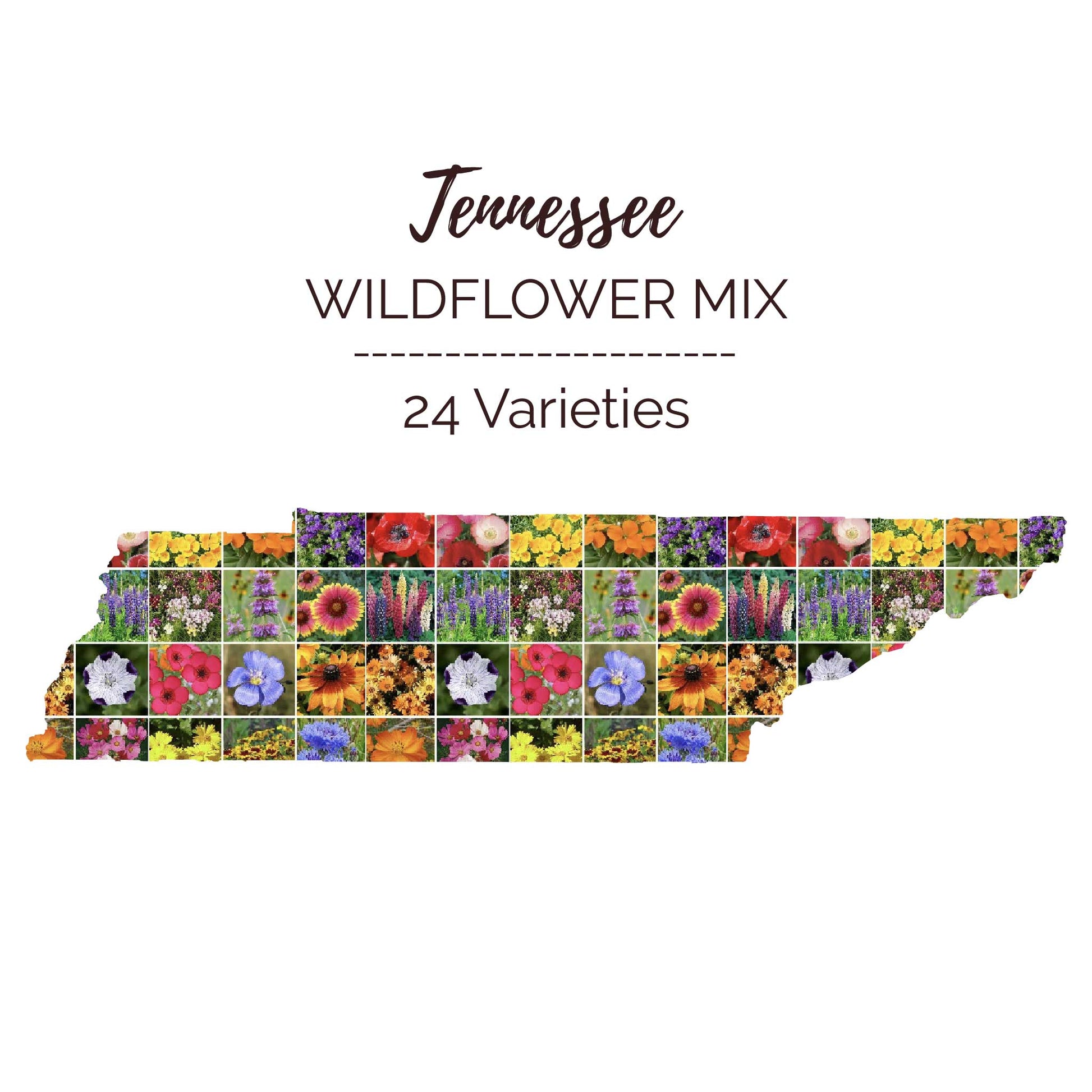 michigan wildflower seeds bulk Bulk Tennessee Wildflower Seed Mix