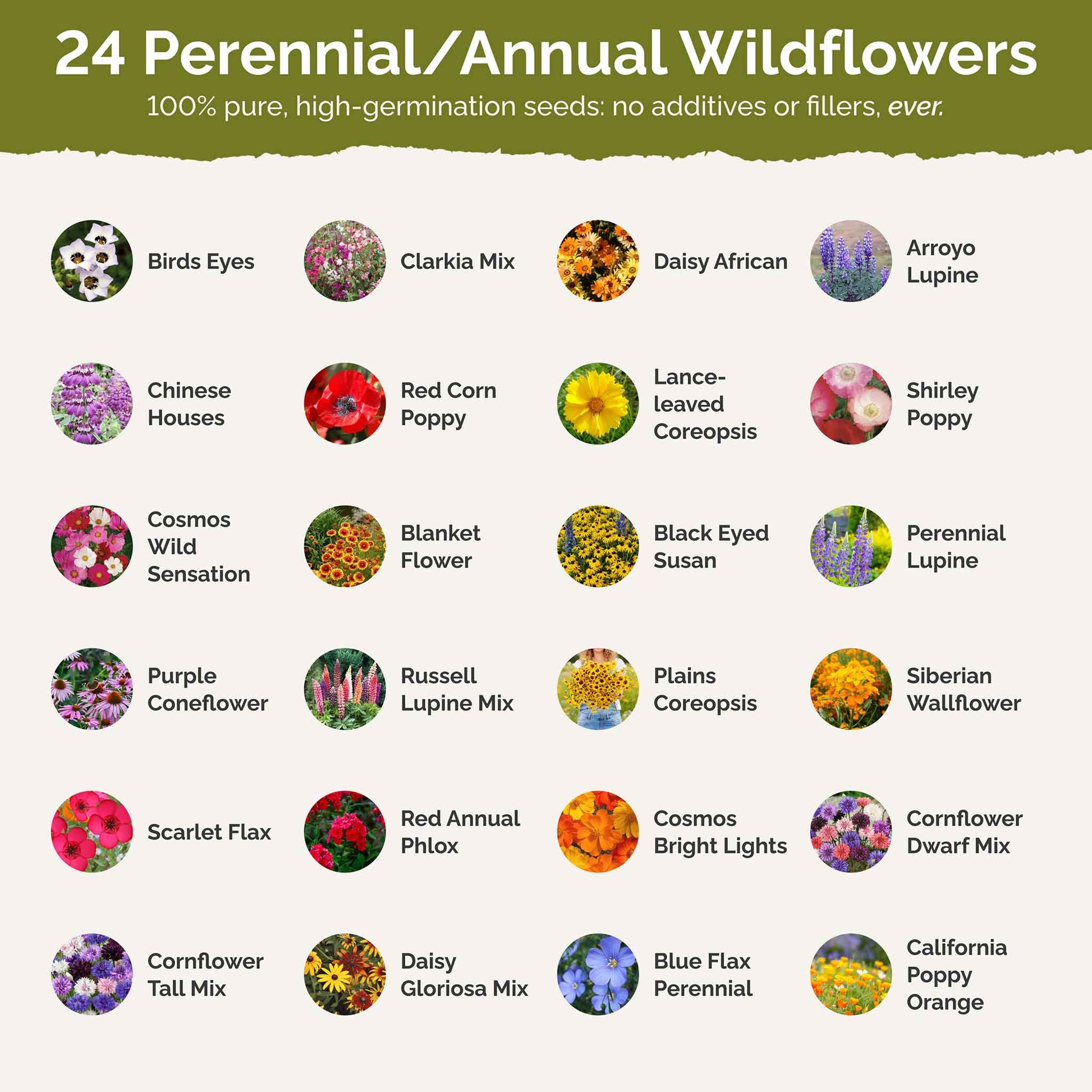 seeds to plant in june texas Bulk Texas Wildflower Seed Mix