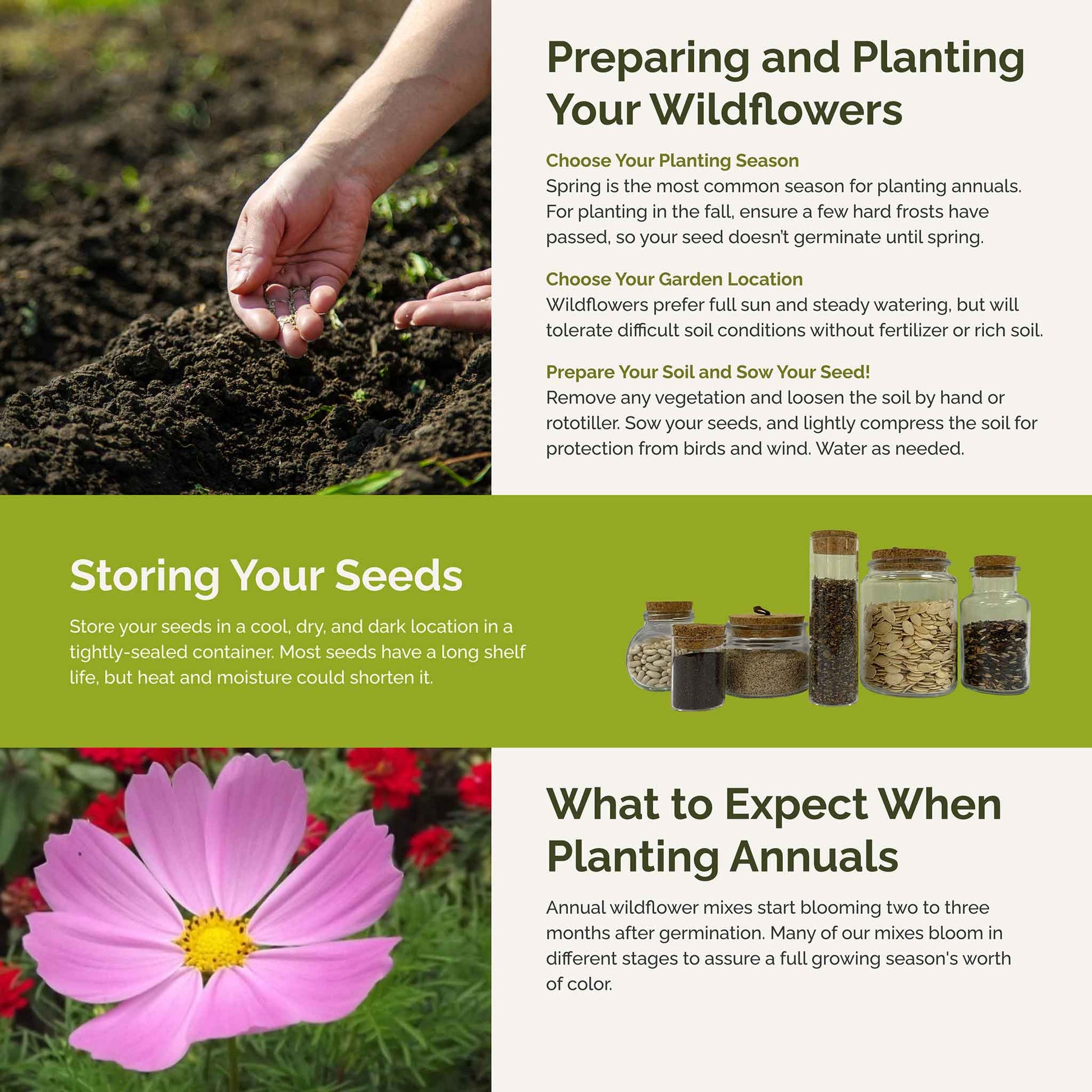 tickled pink planting