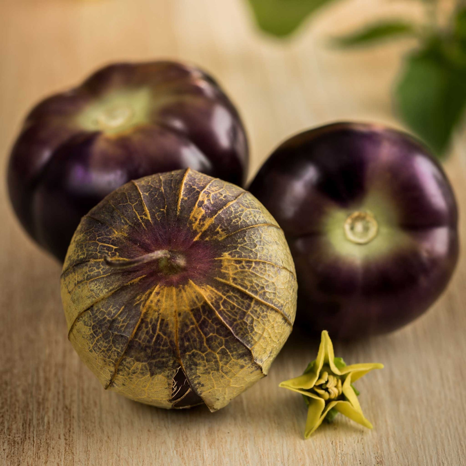 plant tomatillo seeds Bulk Tomatillo Seeds - Purple