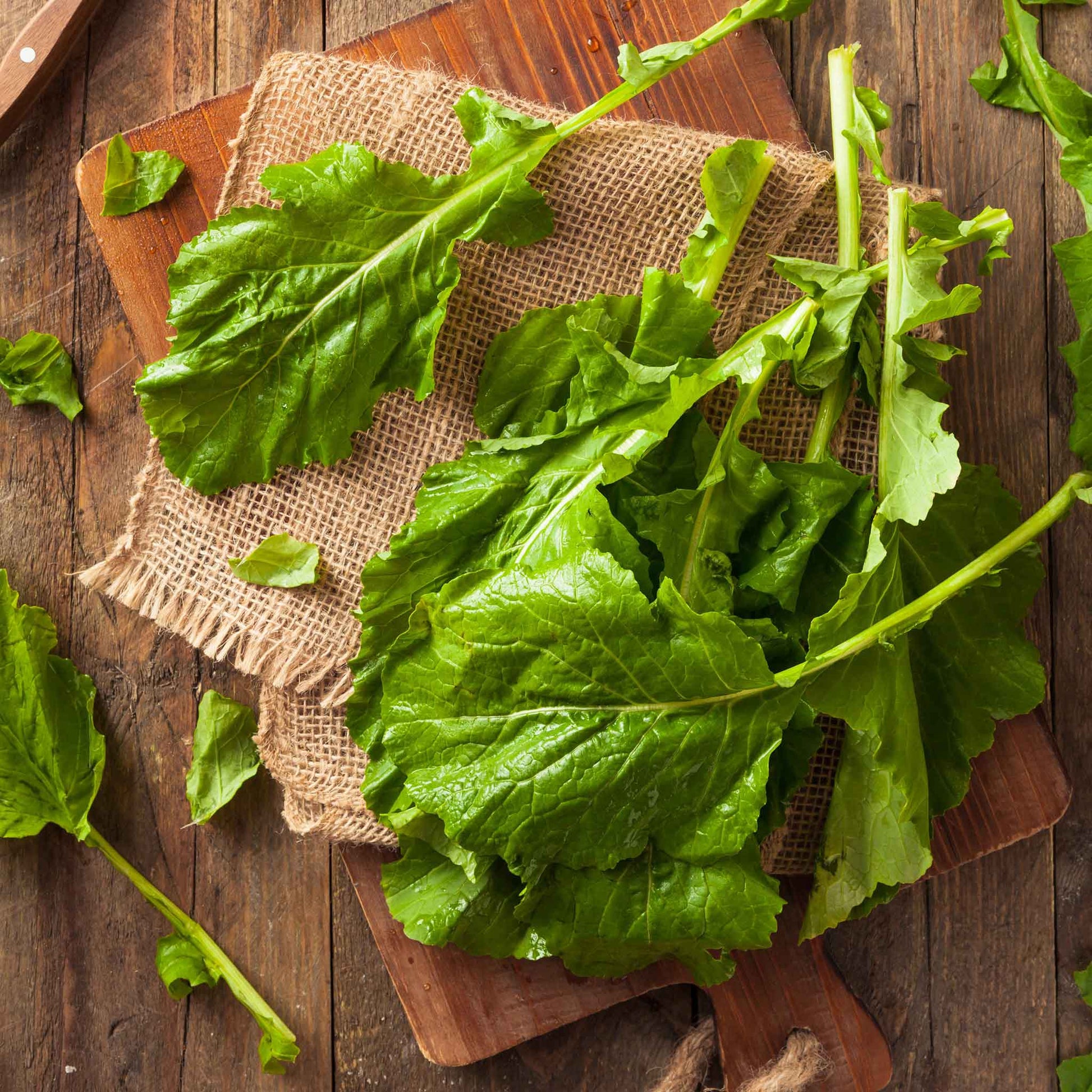 turnip green plant from seeds Bulk Turnip Seeds - Seven Top