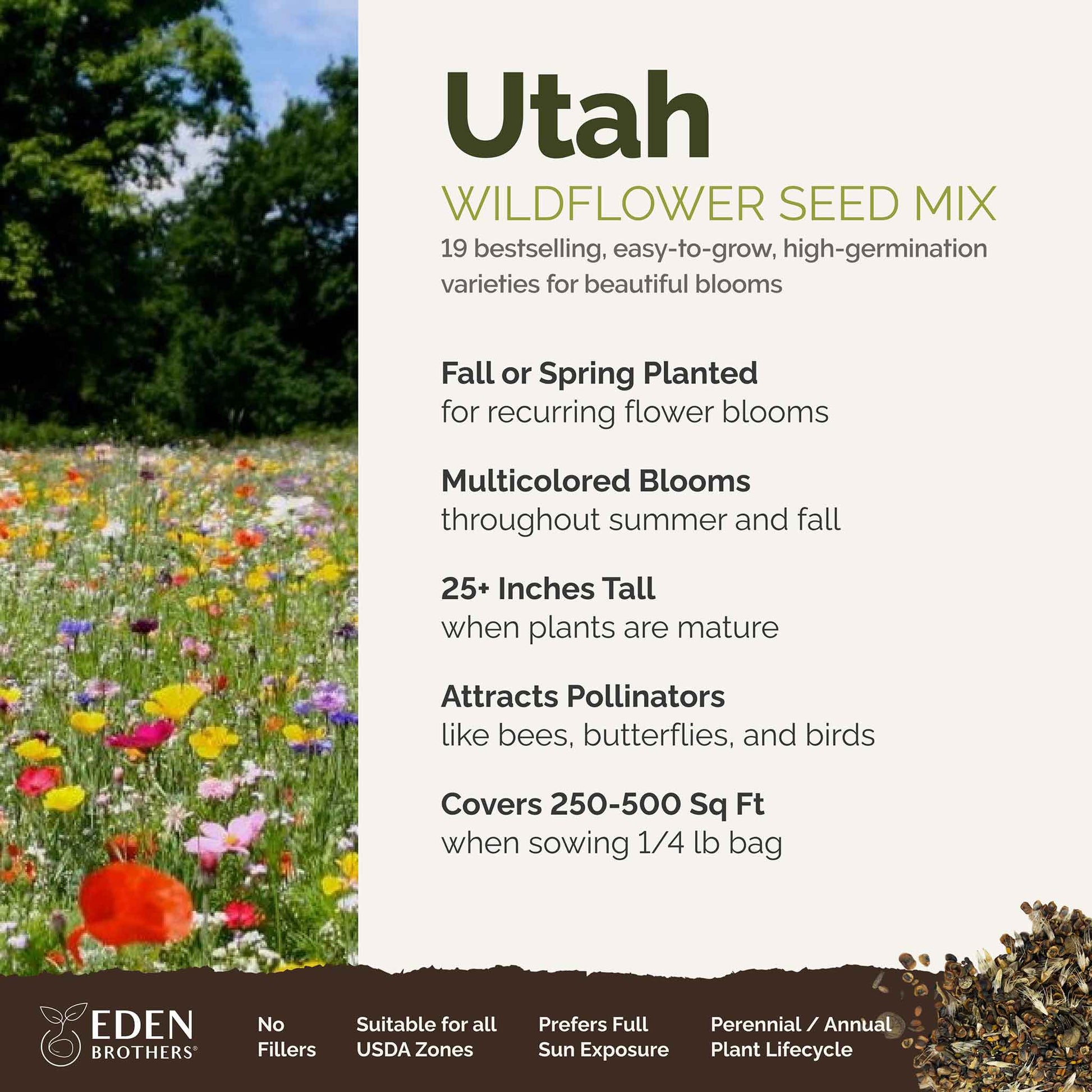 bulk perennial wildflower seed mix Utah Wildflower Seed Mix
