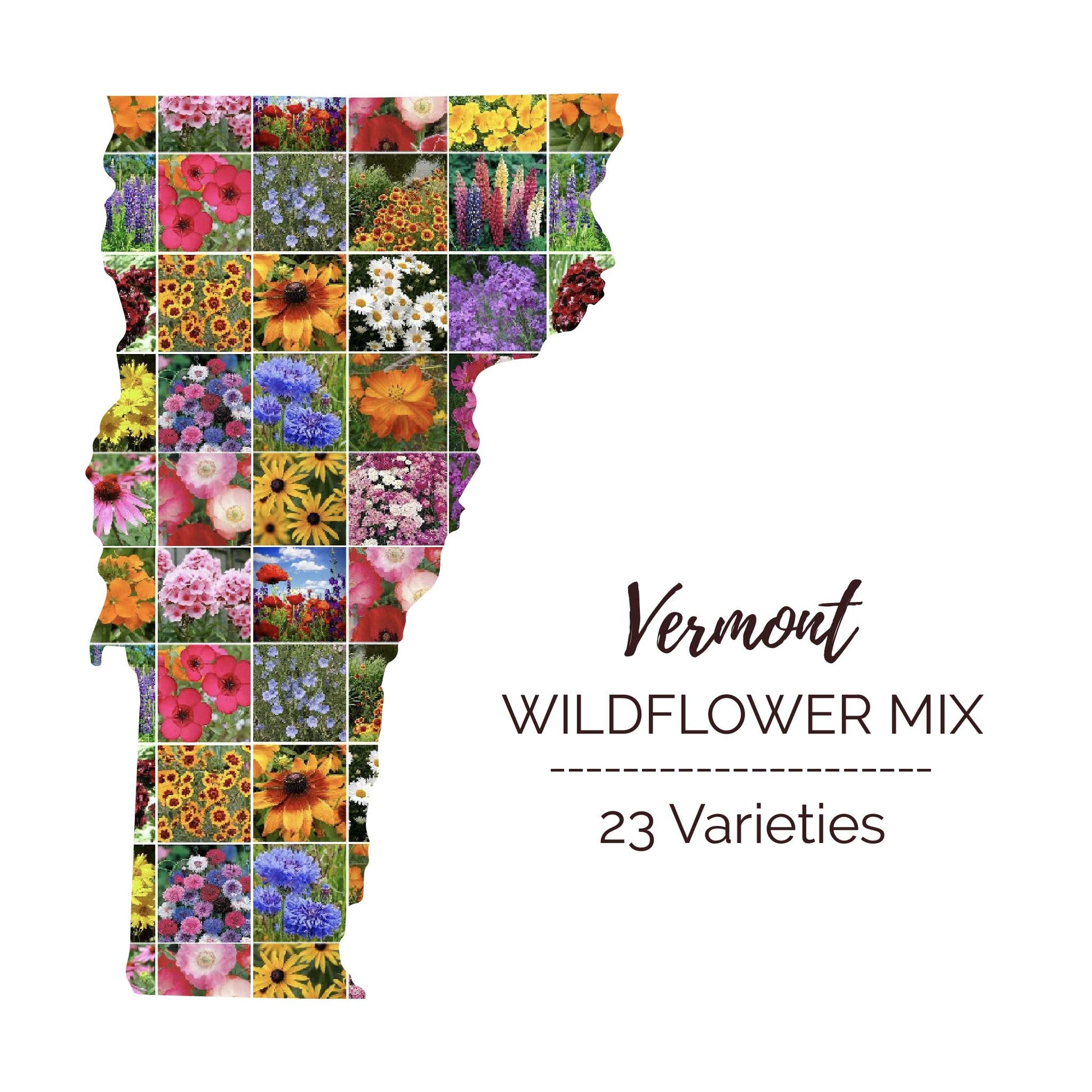 bulk wild flower seed Bulk Vermont Wildflower Seed Mix
