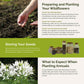 vintage lace planting