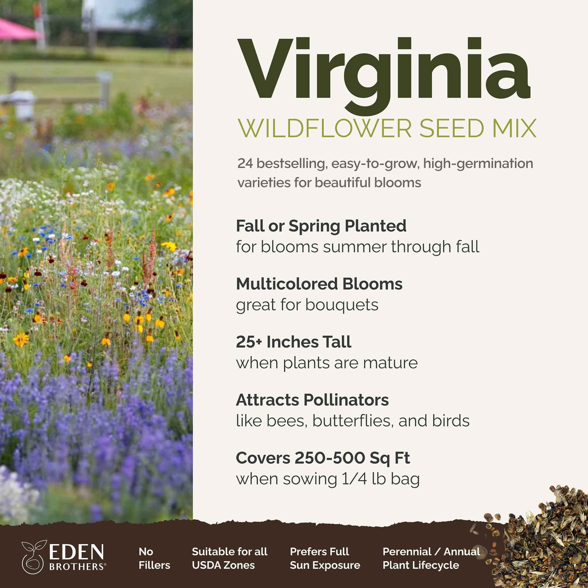 agway wildflower seeds Bulk Virginia Wildflower Seed Mix