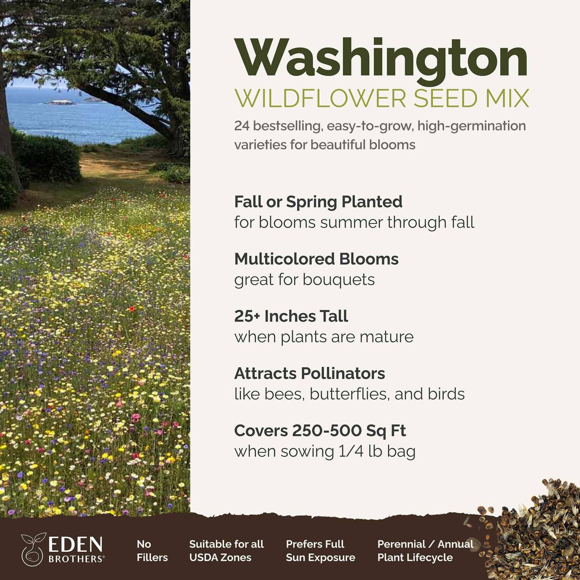eden brothers perennial wildflower seeds Bulk Washington Wildflower Seed Mix