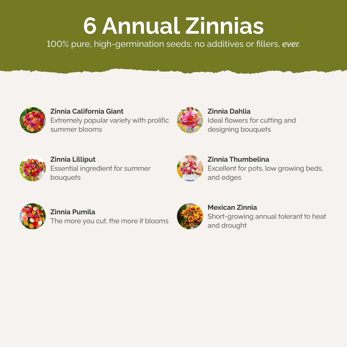 zin master contents