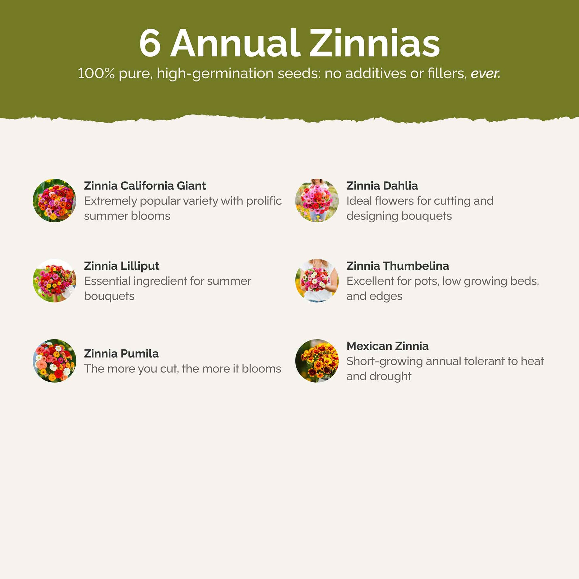 zin master contents
