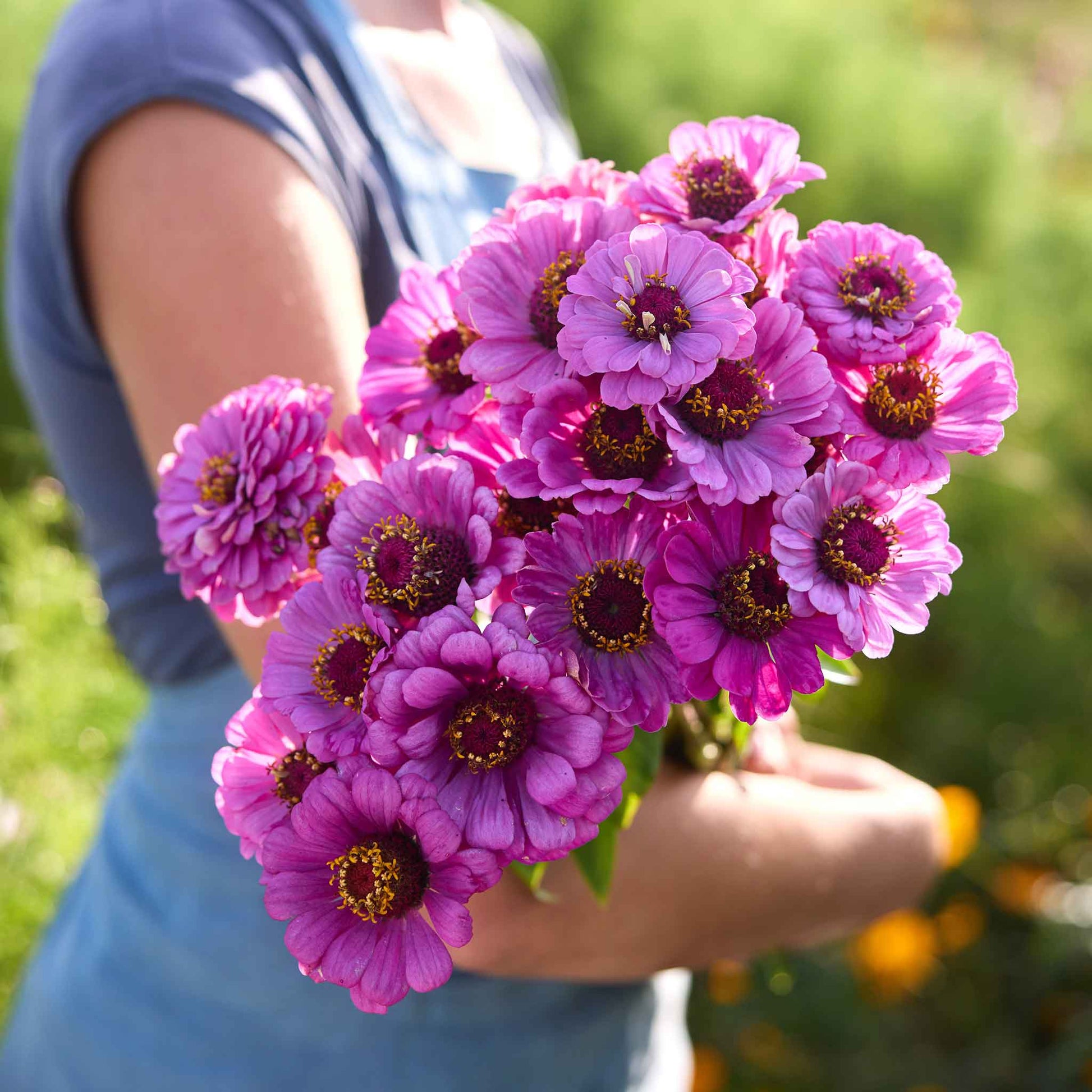 Person holding a bouquet of zinnia dream flowers with a blurred green background