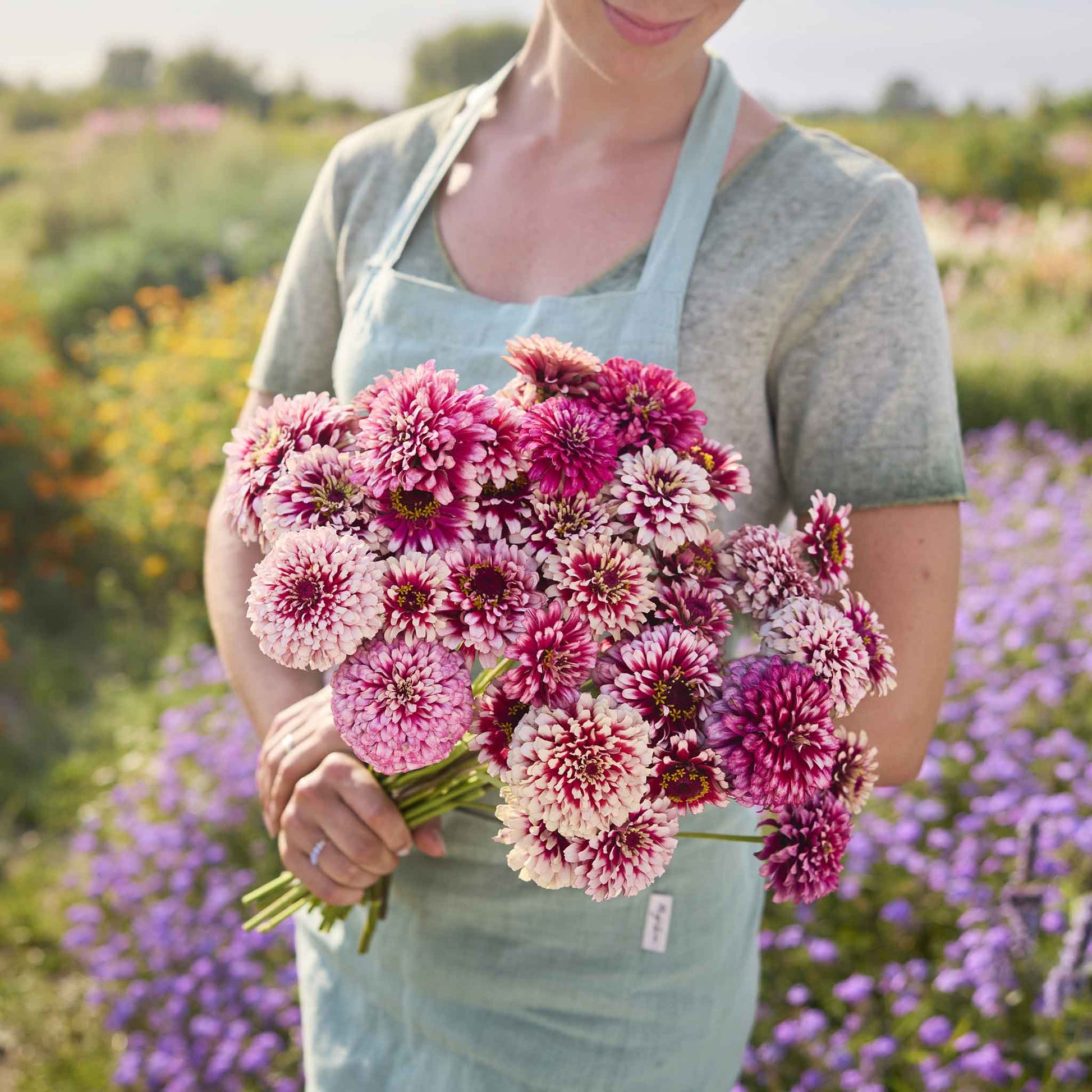 buy plant seeds in bulk Bulk Zinnia Seeds - Mazurkia | Flower Seeds