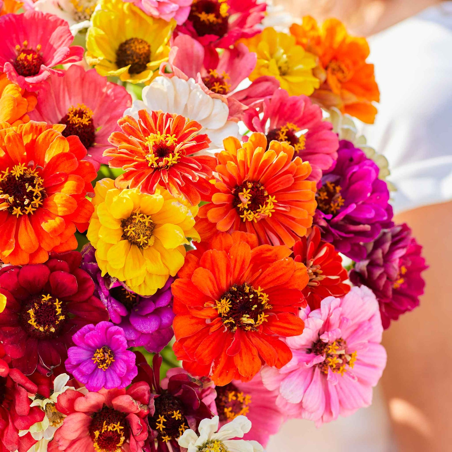 zinnia super yoga mix