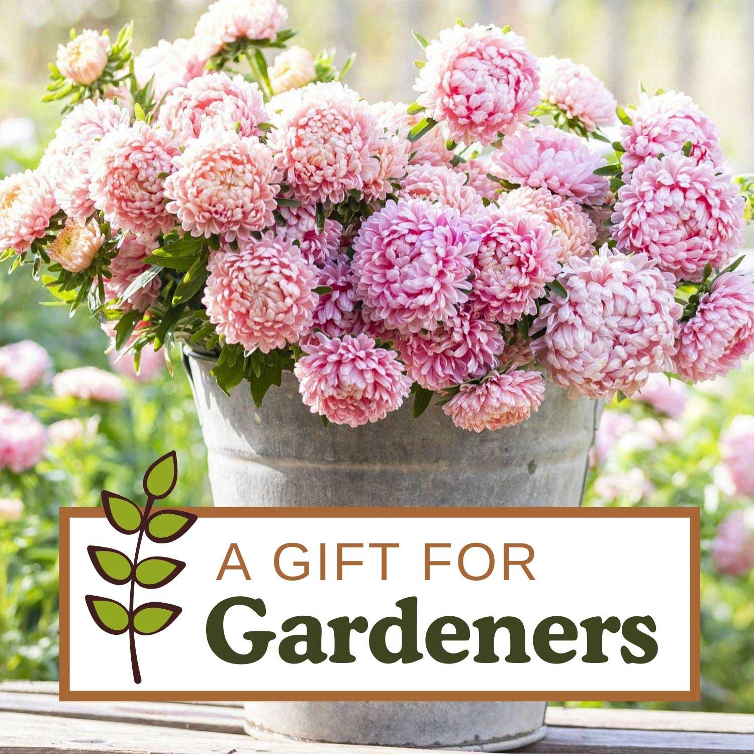 Bulk Seed Store Gift Card
