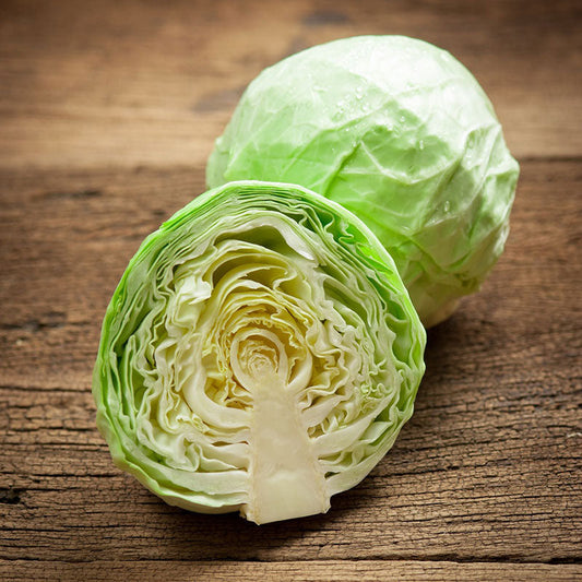 All Seasons Cabbage