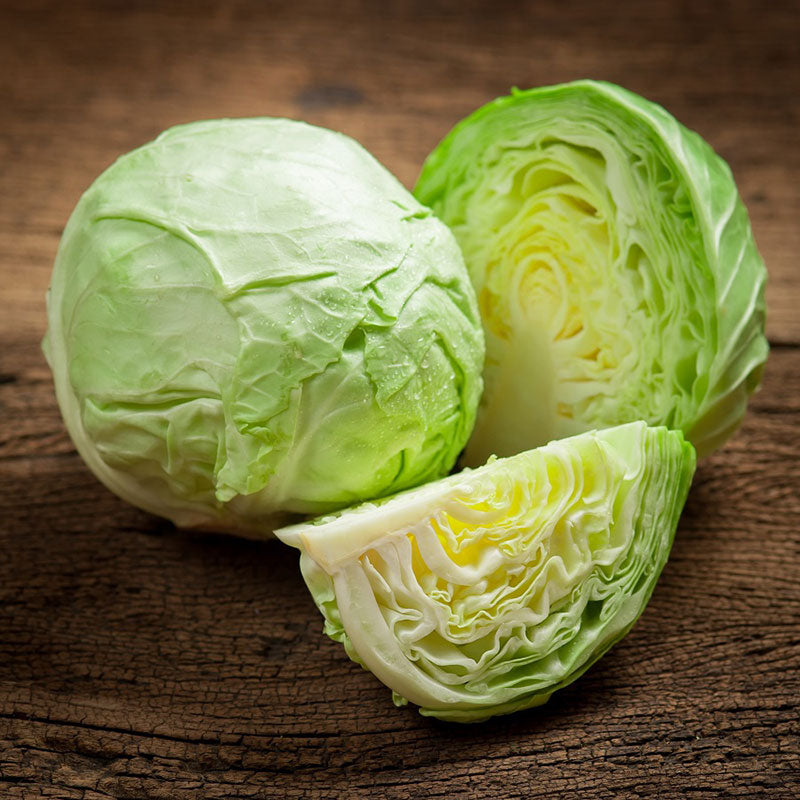 cabbage late flat dutch