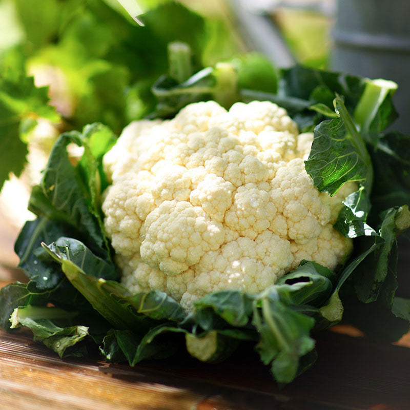 Organic Snowball Y Improved Cauliflower