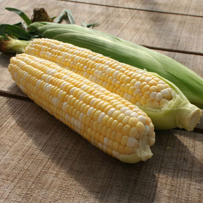 corn bilicious