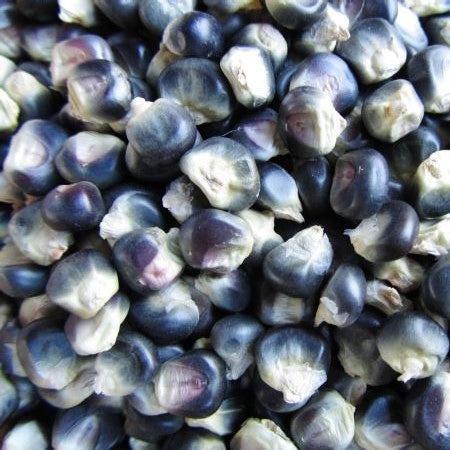 organic blue hopi 