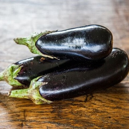 organic eggplant black beauty