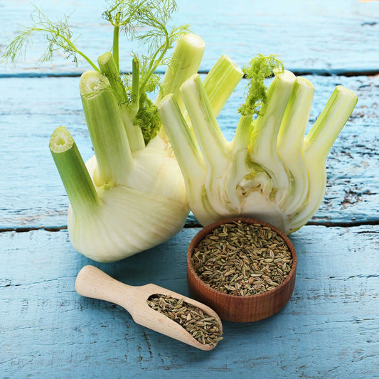 Florence Fennel