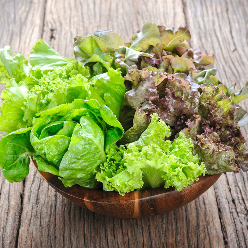 organic lettuce mesclun mix
