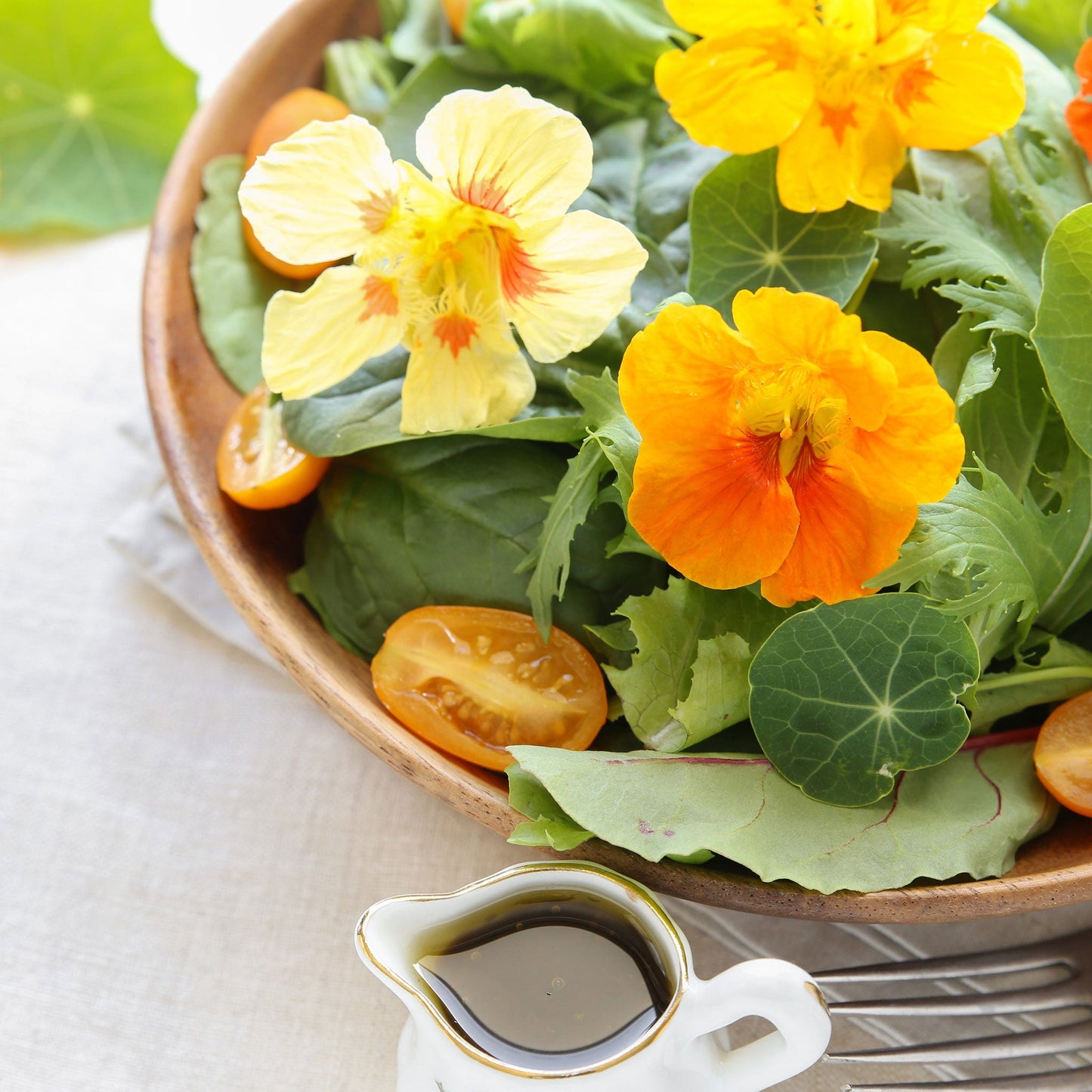 nasturtium majus