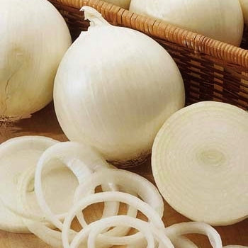 white spanish ringmaster onion 