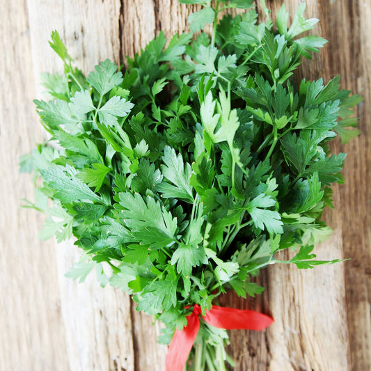 italian parsley